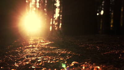 Evening Texture