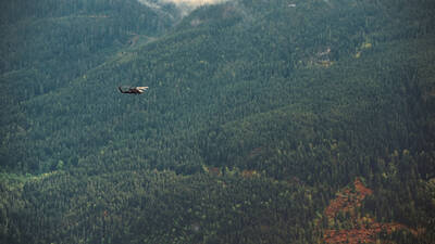 Forest Heli