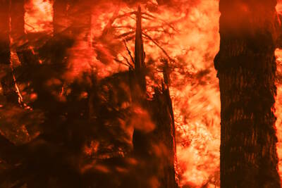 Wildfire Effect
